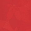 Rouge 2115-RR
