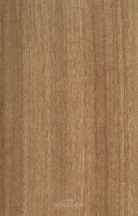 3391-SF - Reserve Wood