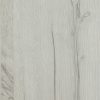 CK-5363 - Kitami Oak