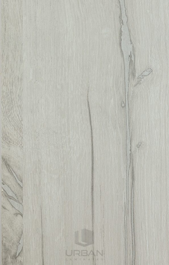 CK-5363 - Kitami Oak