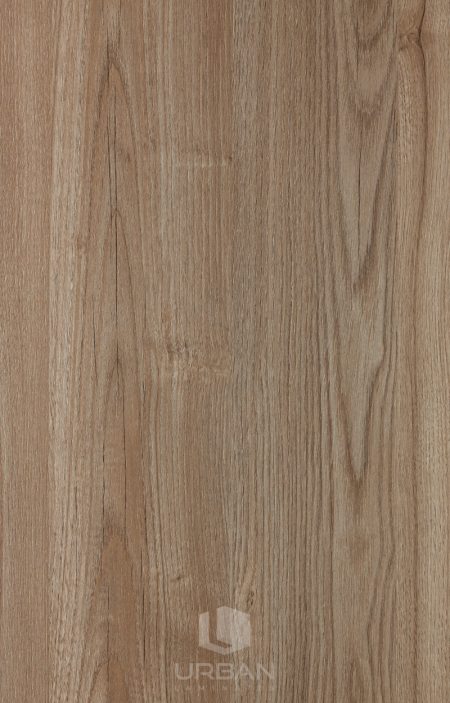 CK-5401 - Manchurian Walnut