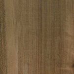 HK-5503 - Tropical Teak