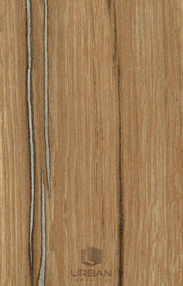 HZ-5365 - Ankara Oak